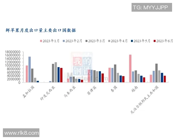 杭州滑板队战术表现深度分析与数据解读探讨